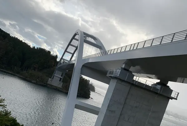 大島の写真・動画_image_825259