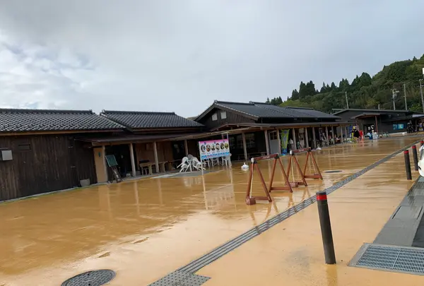大島の写真・動画_image_825262