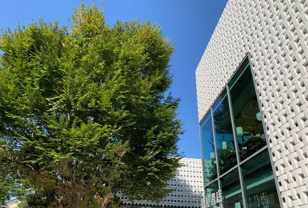 代官山 蔦屋書店(TSUTAYA)の写真・動画_image_830385
