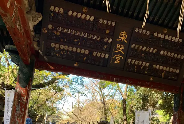 上野東照宮の写真・動画_image_830855
