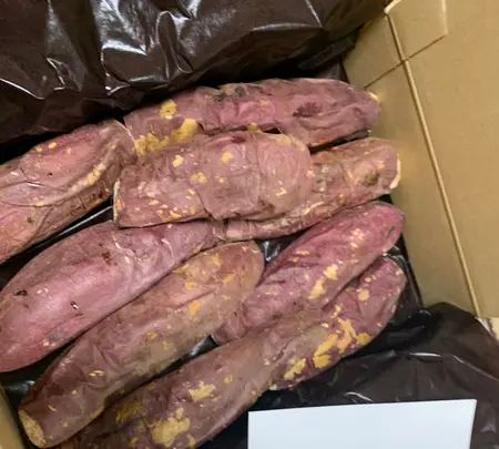 蔵出・焼き芋かいつか つくば店の写真・動画_image_831203