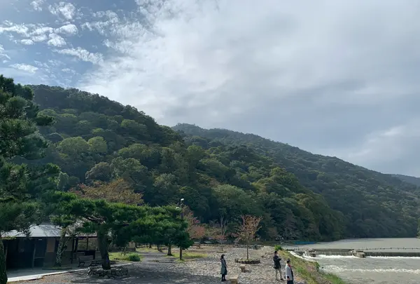 渡月橋の写真・動画_image_831872