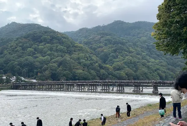 渡月橋の写真・動画_image_831873