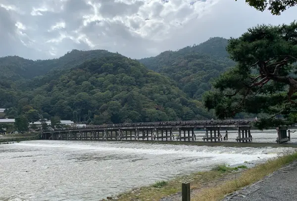 渡月橋の写真・動画_image_831876
