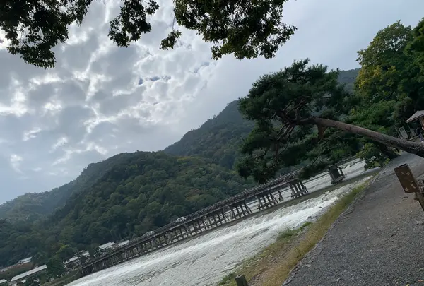 渡月橋の写真・動画_image_831877