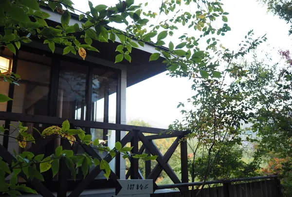 ゆふいん椿の写真・動画_image_833262