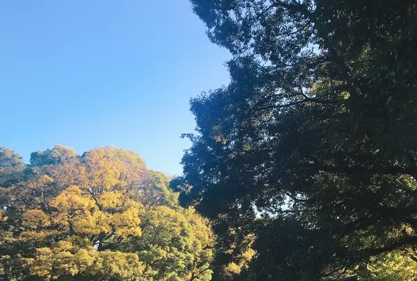 杜のテラスの写真・動画_image_834624