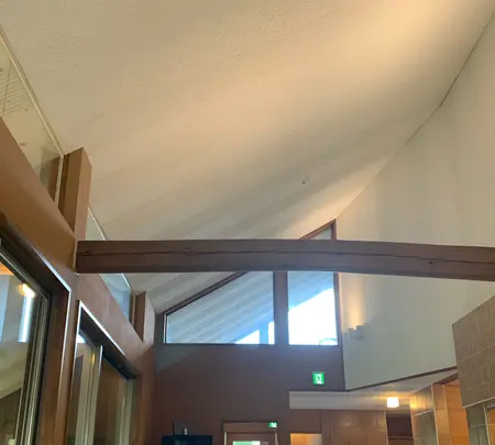 サーラカリーナ瀬の本の写真・動画_image_837196