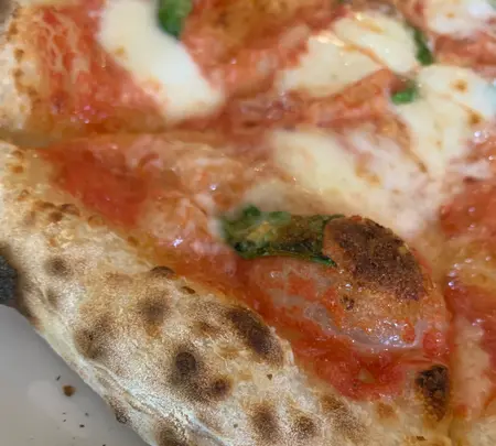 サーラカリーナ瀬の本の写真・動画_image_837198