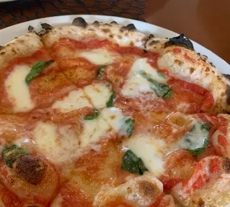 サーラカリーナ瀬の本の写真・動画_image_837199