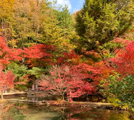 曽木公園の写真・動画_image_838372