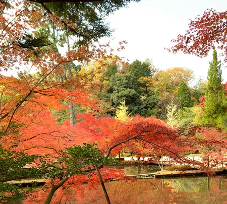 曽木公園の写真・動画_image_838374
