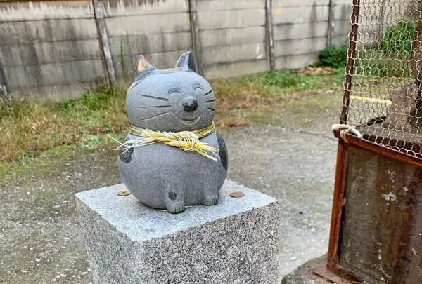 今戸神社の写真・動画_image_840454