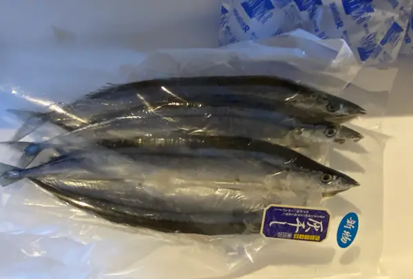 西出水産の写真・動画_image_843656