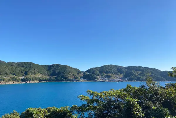 熊野（漁協） 水産物直売所の写真・動画_image_844063