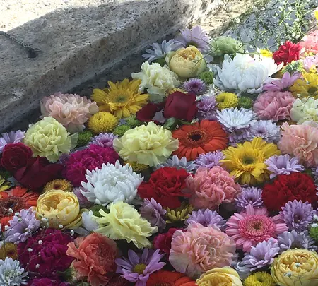 金井神社の写真・動画_image_844417