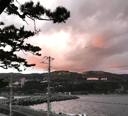 磯膳まえだ苑の写真・動画_image_845591