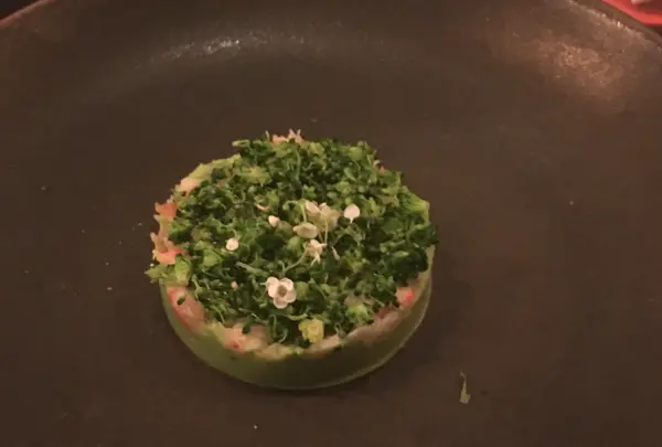 iciの写真・動画_image_846124