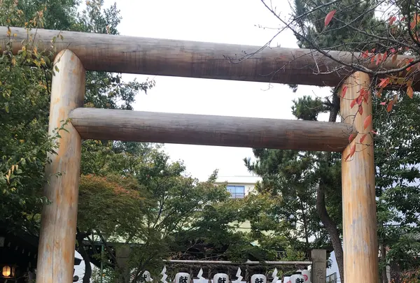 堀越神社(大阪)の写真・動画_image_846684