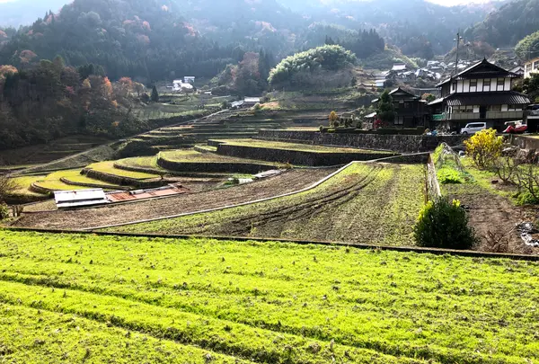 井仁の棚田