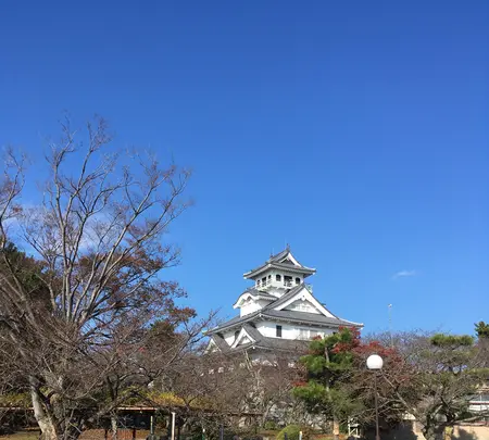 長浜城の写真・動画_image_847956