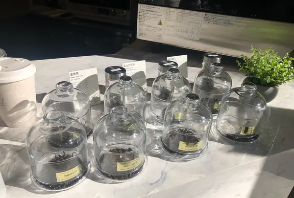 TeaTockの写真・動画_image_849175