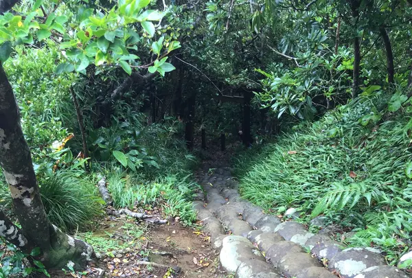 為朝神社石宮の写真・動画_image_851373