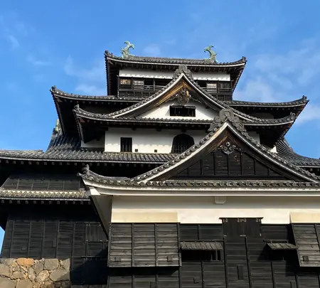 松江城の写真・動画_image_852884
