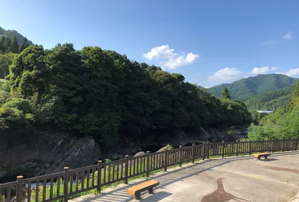 丹波竜の里公園の写真・動画_image_853784