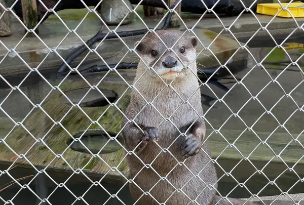 池田動物園の写真・動画_image_854659