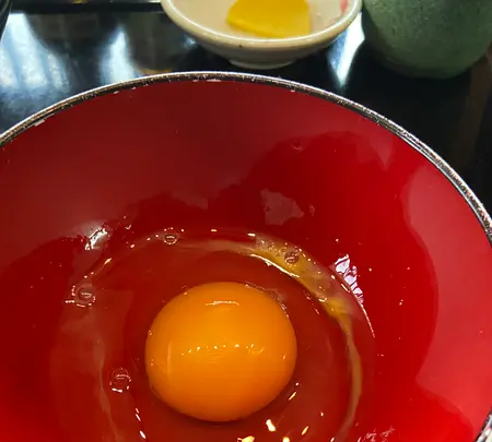 但熊の写真・動画_image_855418