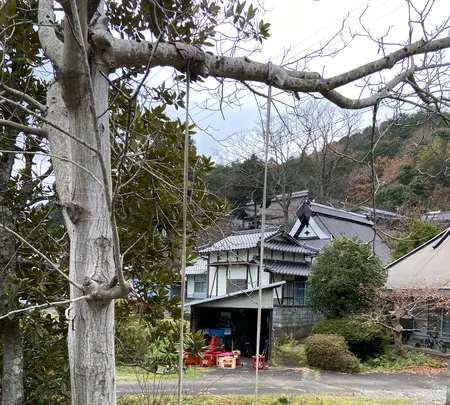 竹松うどん店の写真・動画_image_855423