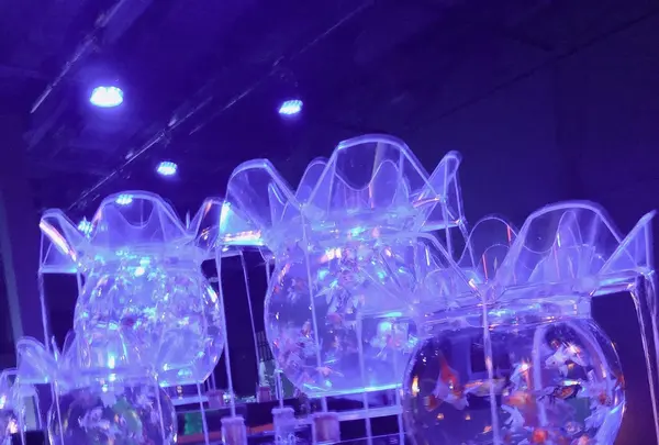 アートアクアリウム美術館の写真・動画_image_856891