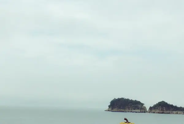 直島の写真・動画_image_859737