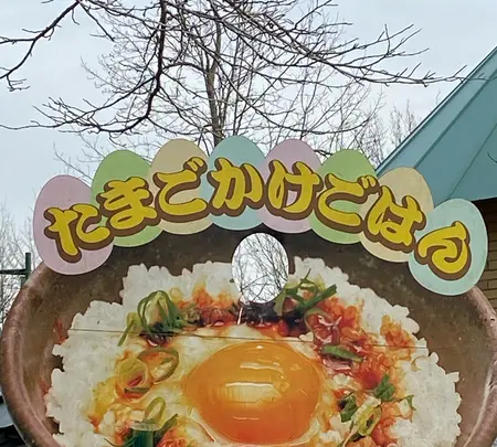 食堂 かめっち。の写真・動画_image_861005
