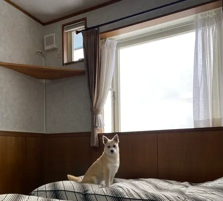 丘の上のペンション ぐ～たらパパの写真・動画_image_862833