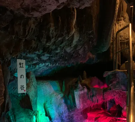 井倉洞の写真・動画_image_863509