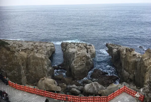 鵜戸神宮の写真・動画_image_866381