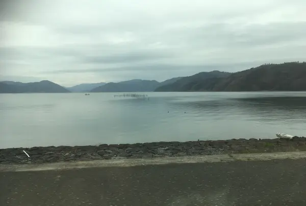 琵琶湖の写真・動画_image_866389