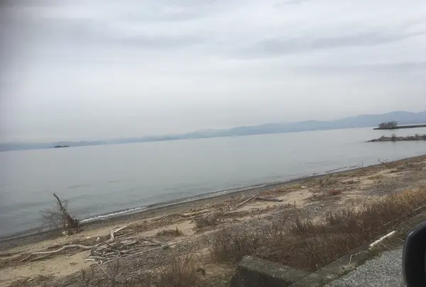 琵琶湖の写真・動画_image_866390