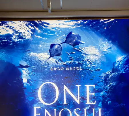 新江ノ島水族館の写真・動画_image_866845