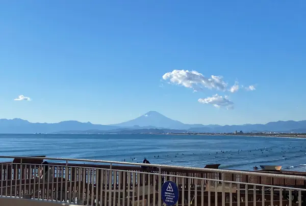 新江ノ島水族館の写真・動画_image_866846