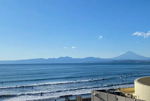 新江ノ島水族館の写真・動画_image_866847