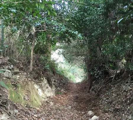 多度山の写真・動画_image_867134