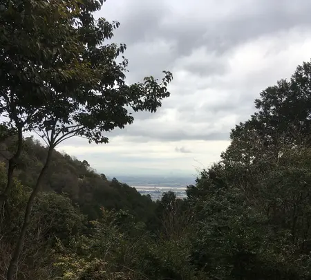 多度山の写真・動画_image_867135