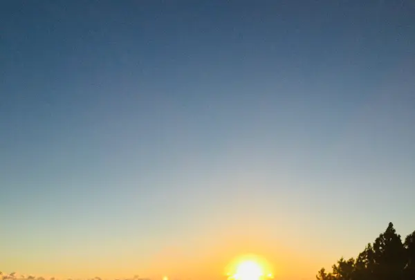 清澄寺の写真・動画_image_867368