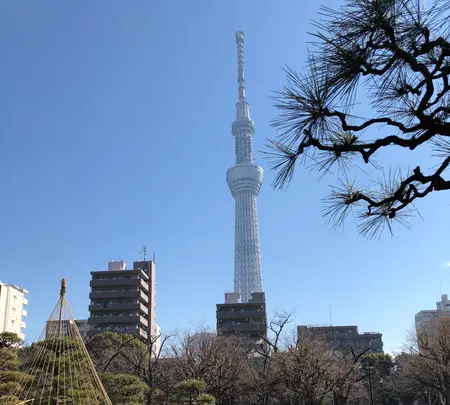隅田公園の写真・動画_image_868764