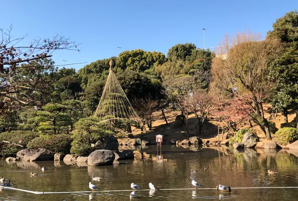 隅田公園の写真・動画_image_868765