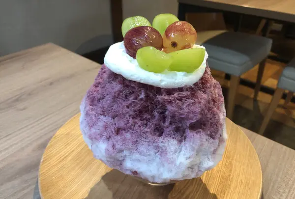 梛の木-なぎのき-