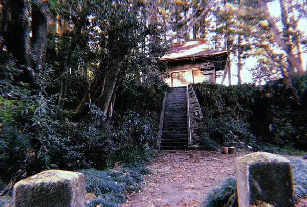 〒324-0022 栃木県大田原市宇田川２４８の写真・動画_image_871570